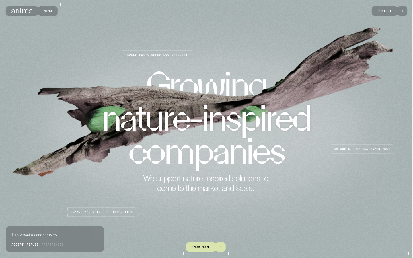 Screenshot of anima.ai — AI website design