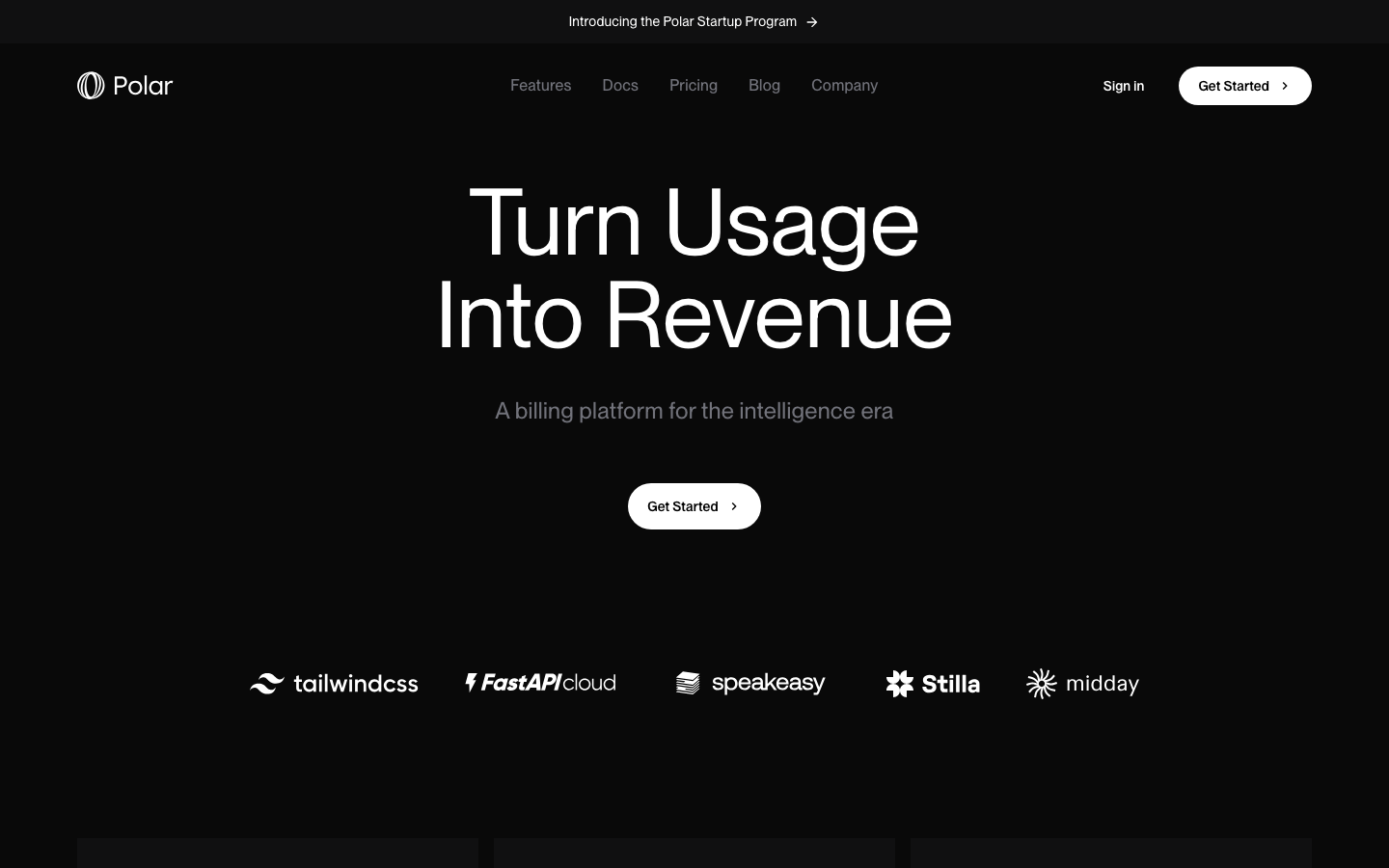 Screenshot of polar.sh — Dev Tools website design