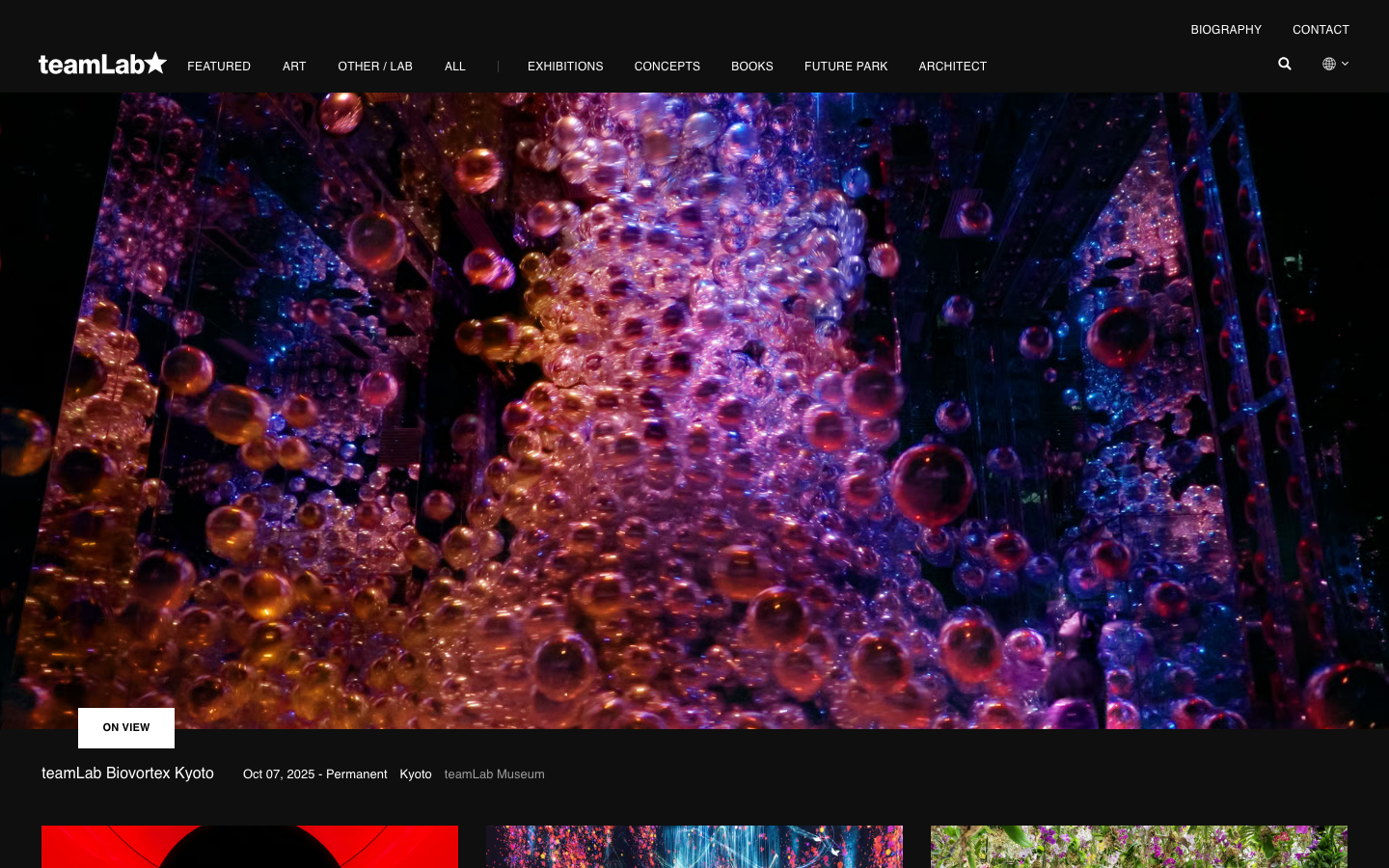 Screenshot of teamlab.art — Media & Culture website design